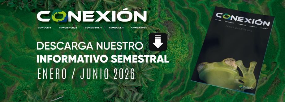 Descarga nuestra revista CONEXIÓN