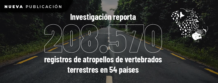 Investigación reporta 208.570 registros de atropellos de vertebrados terrestres en 54 países
