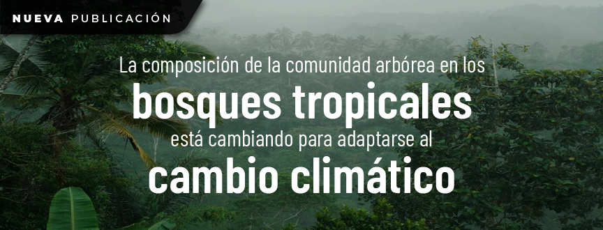 omposición de la comunidad arbórea en los bosques tropicales está cambiando para adaptarse al cambio climático